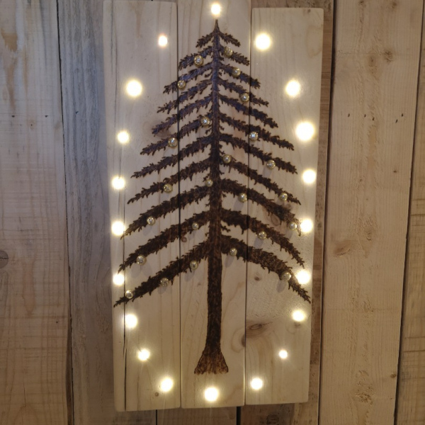 Le sapin de Noël illuminé